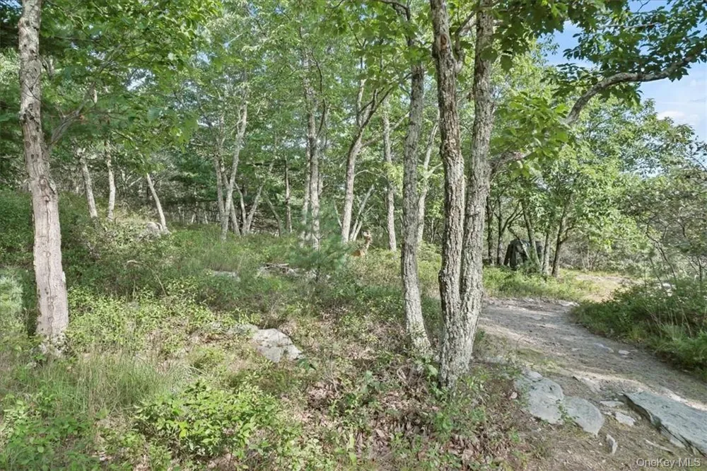 96 Treetops Trail Bloomingburg, NY 12721