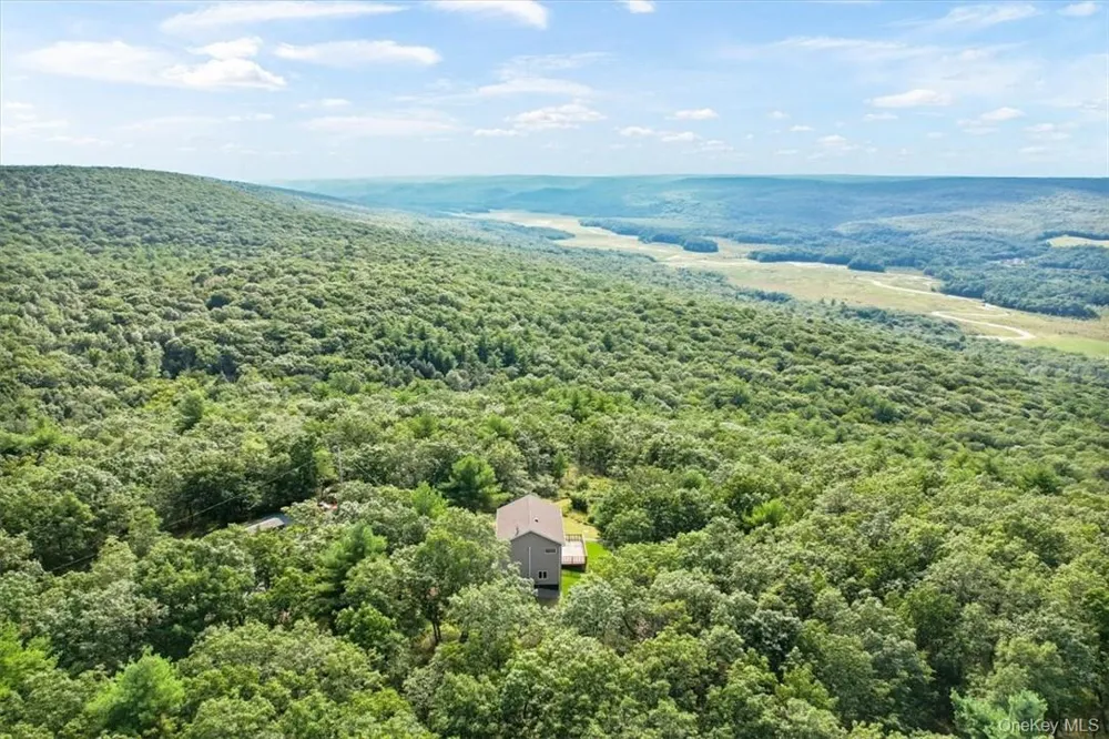 96 Treetops Trail Bloomingburg, NY 12721