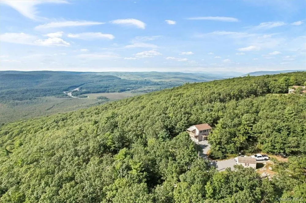 96 Treetops Trail Bloomingburg, NY 12721