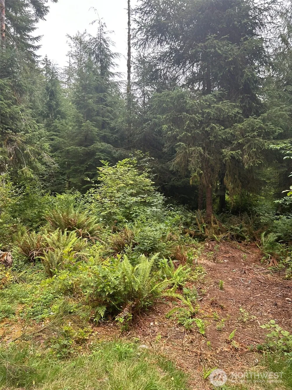 99 Highway 101 Amanda Park, WA 98526