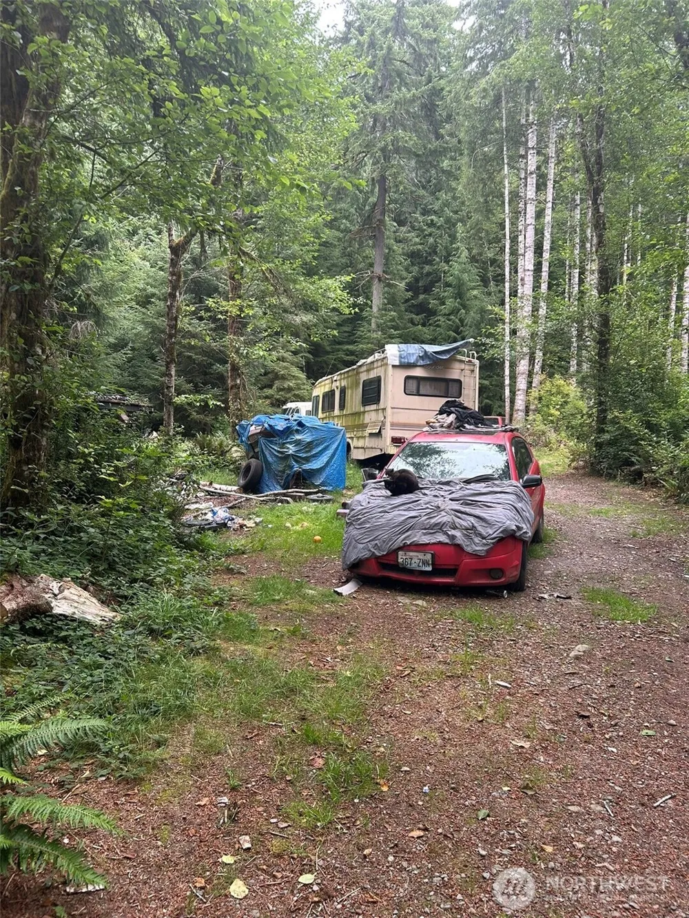 99 Highway 101 Amanda Park, WA 98526