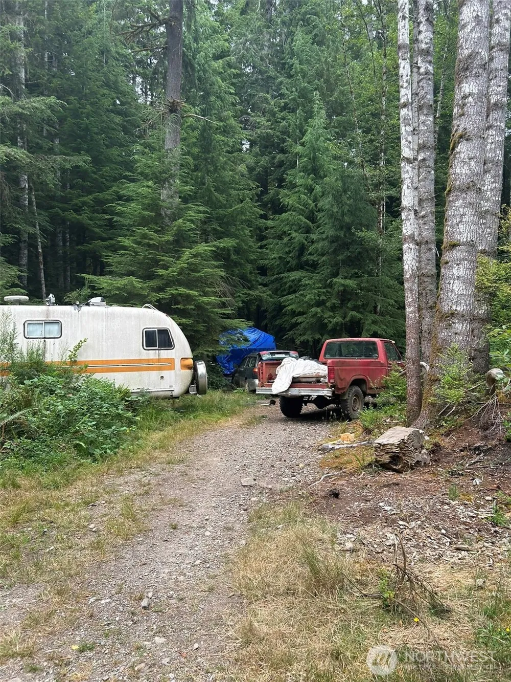 99 Highway 101 Amanda Park, WA 98526