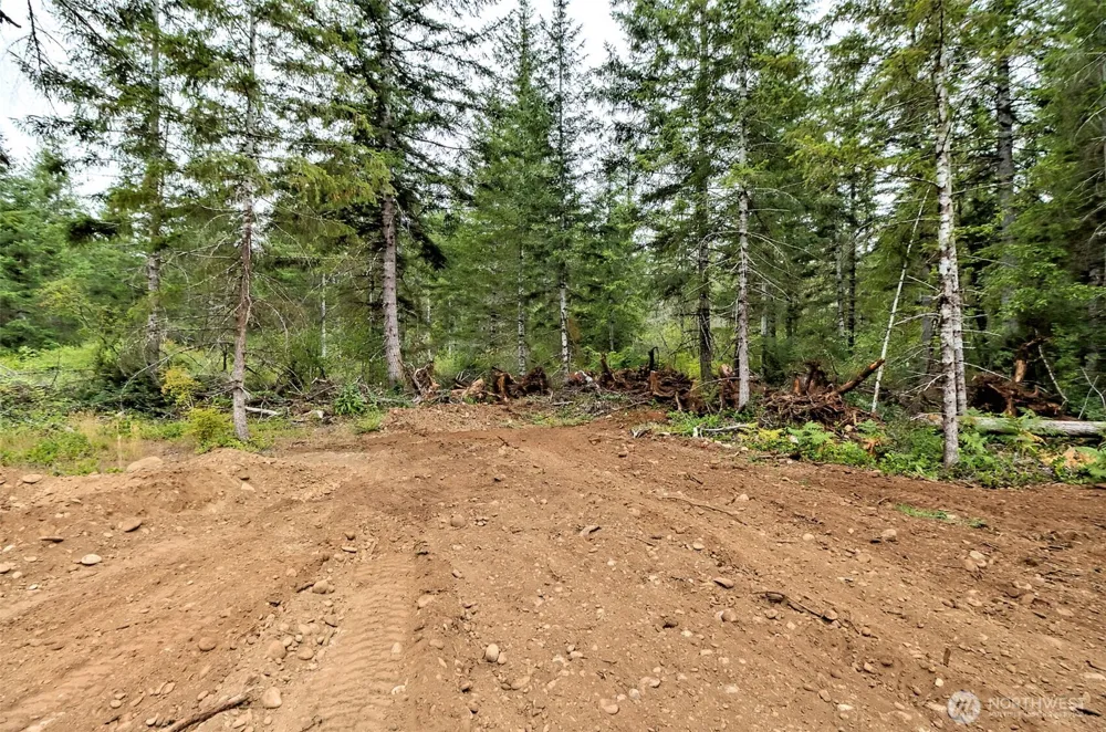 19 Raven Lane Elma, WA 98541