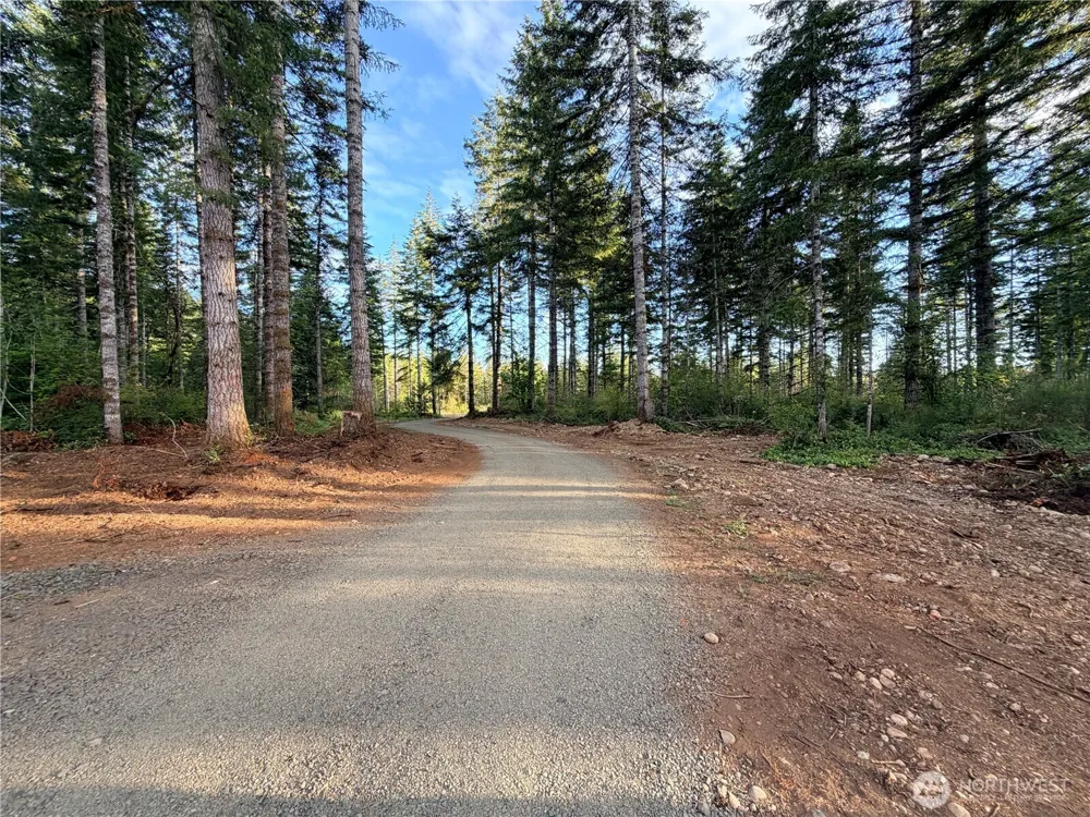 19 Raven Lane Elma, WA 98541