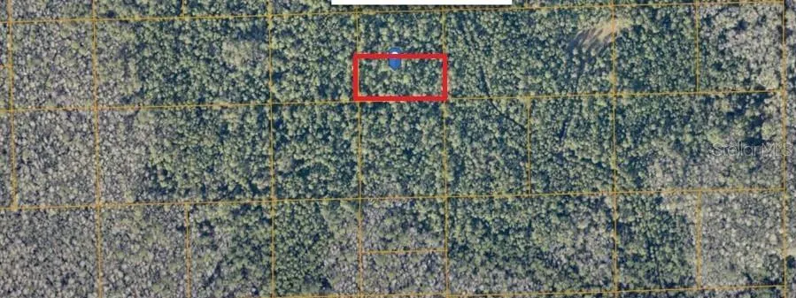 UNIMPROVED De Leon Springs, FL 32130