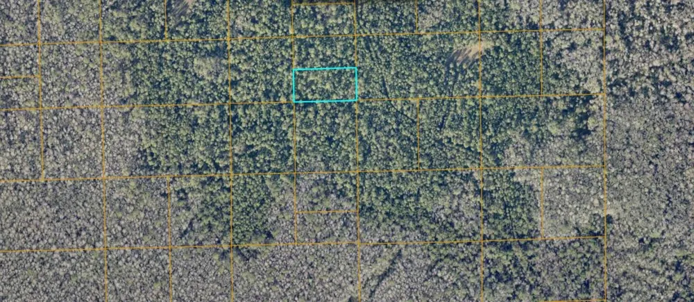 UNIMPROVED De Leon Springs, FL 32130