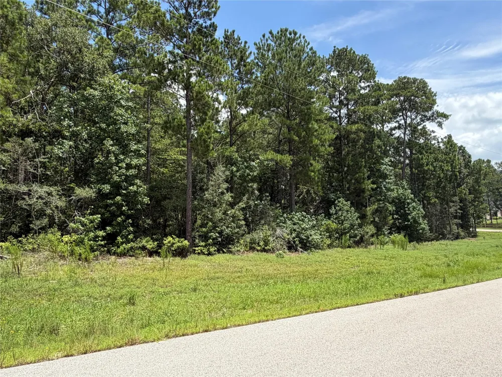 93 Sanctuary Road Huntsville, TX 77340