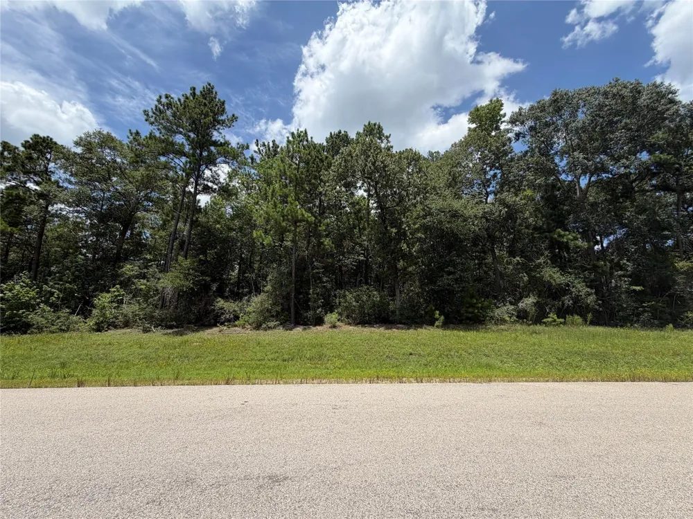 93 Sanctuary Road Huntsville, TX 77340