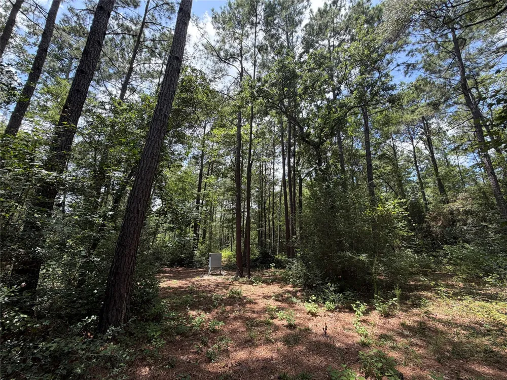 93 Sanctuary Road Huntsville, TX 77340