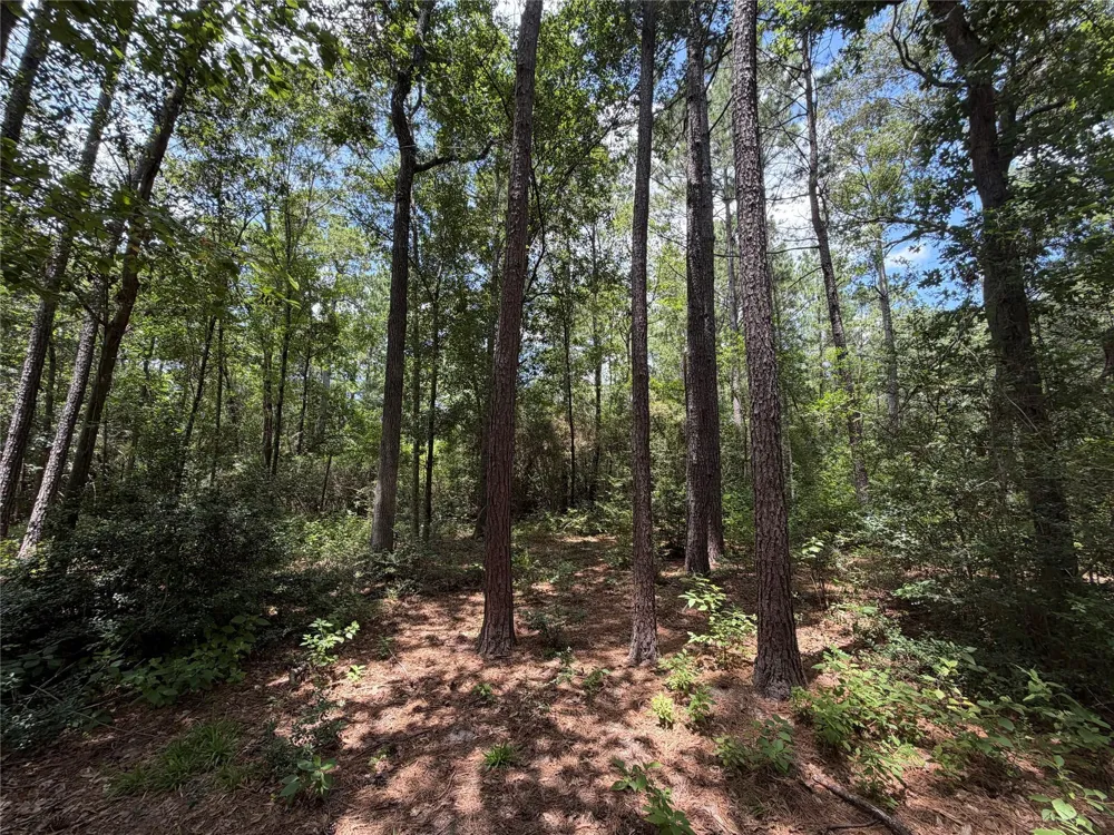 93 Sanctuary Road Huntsville, TX 77340