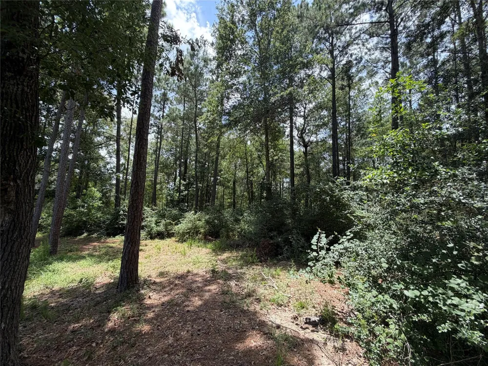 93 Sanctuary Road Huntsville, TX 77340