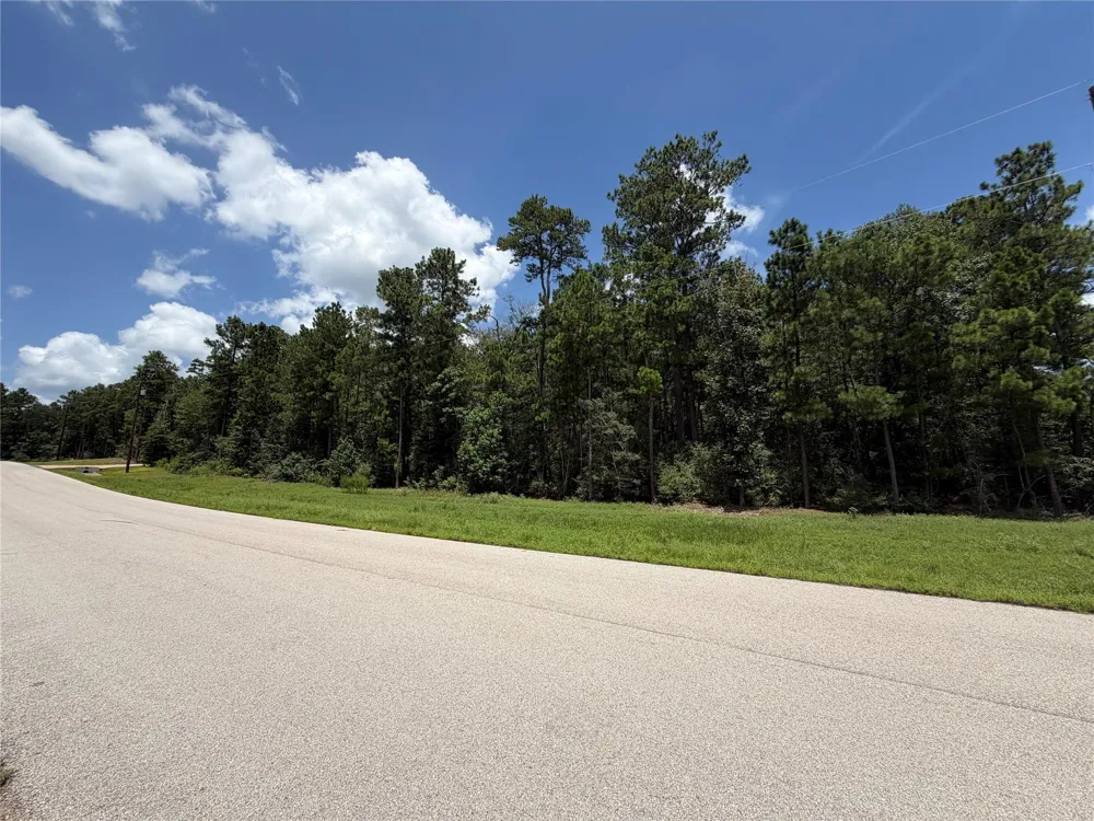 93 Sanctuary Road Huntsville, TX 77340
