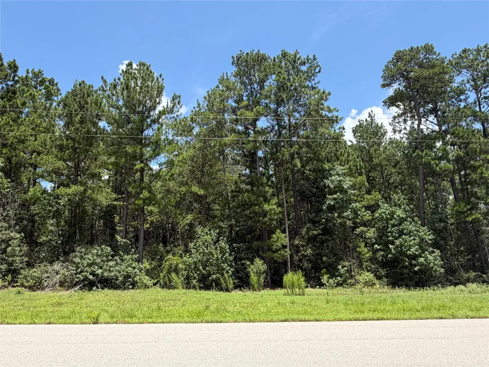 93 Sanctuary Road Huntsville, TX 77340