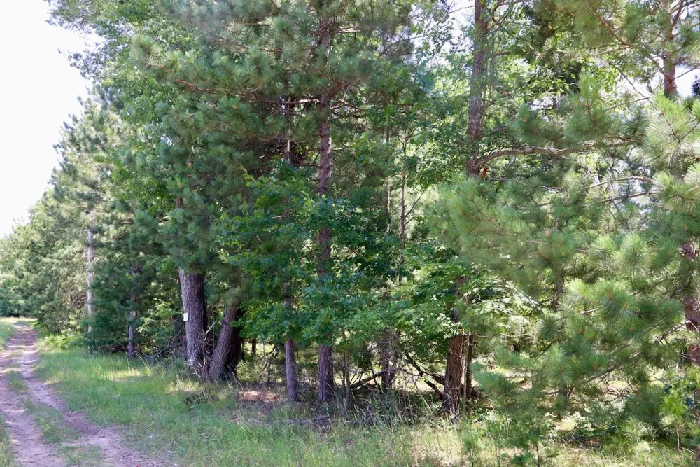 2 E Greenwood Road Prescott, MI 48756