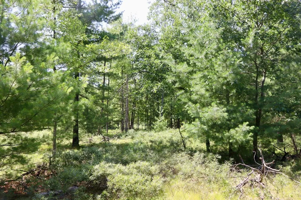 2 E Greenwood Road Prescott, MI 48756