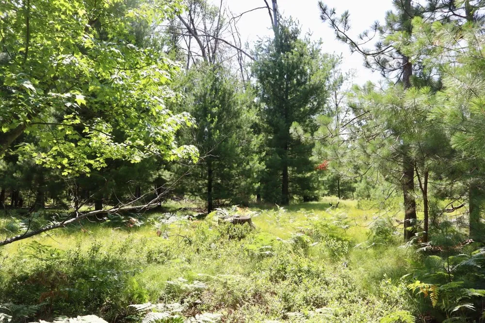 2 E Greenwood Road Prescott, MI 48756