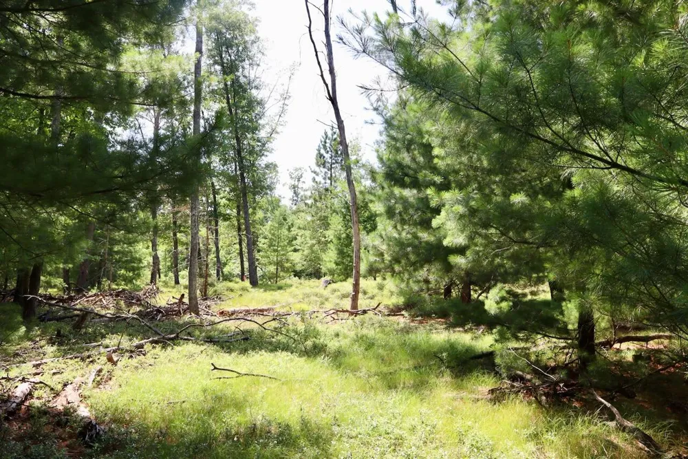 2 E Greenwood Road Prescott, MI 48756