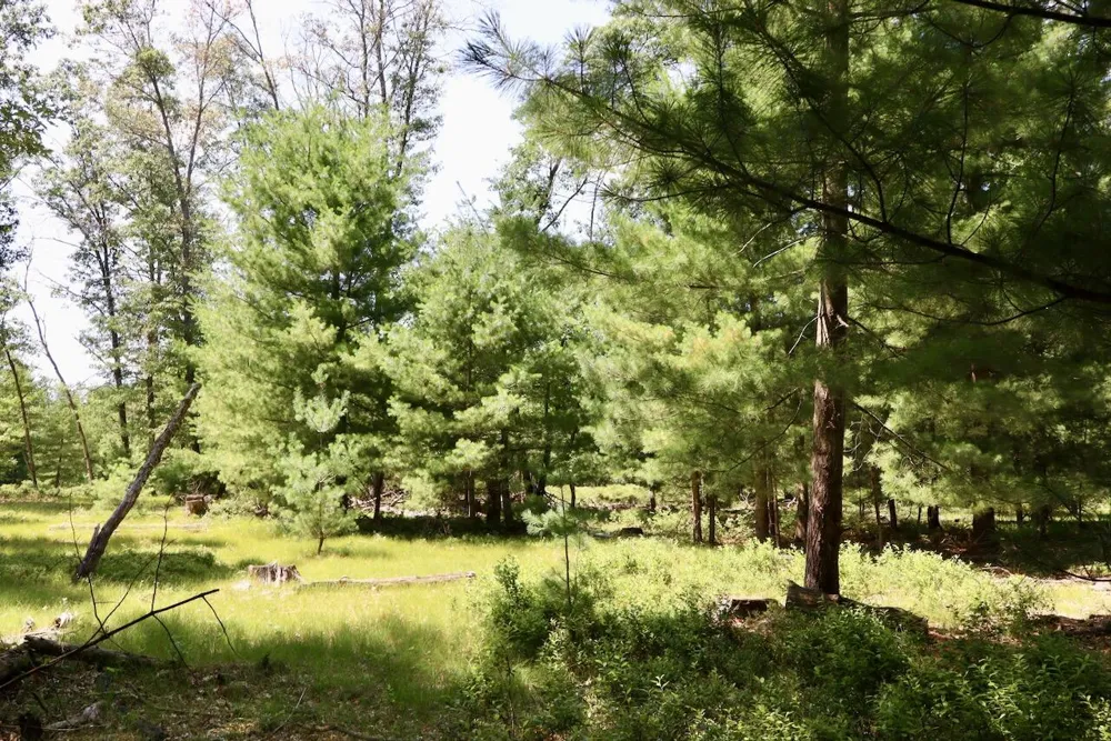 2 E Greenwood Road Prescott, MI 48756