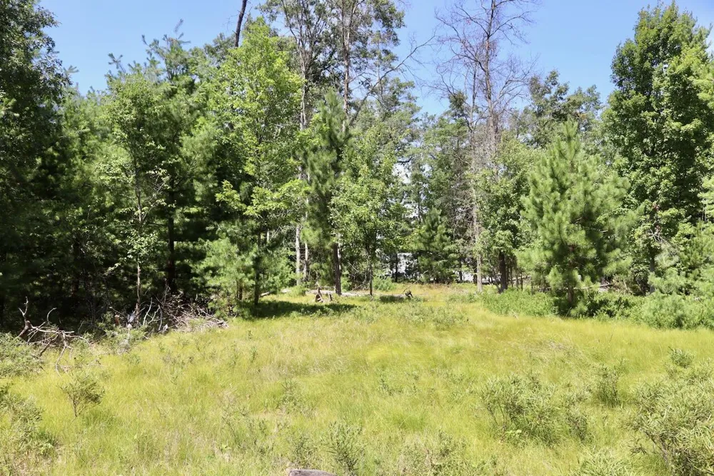 2 E Greenwood Road Prescott, MI 48756