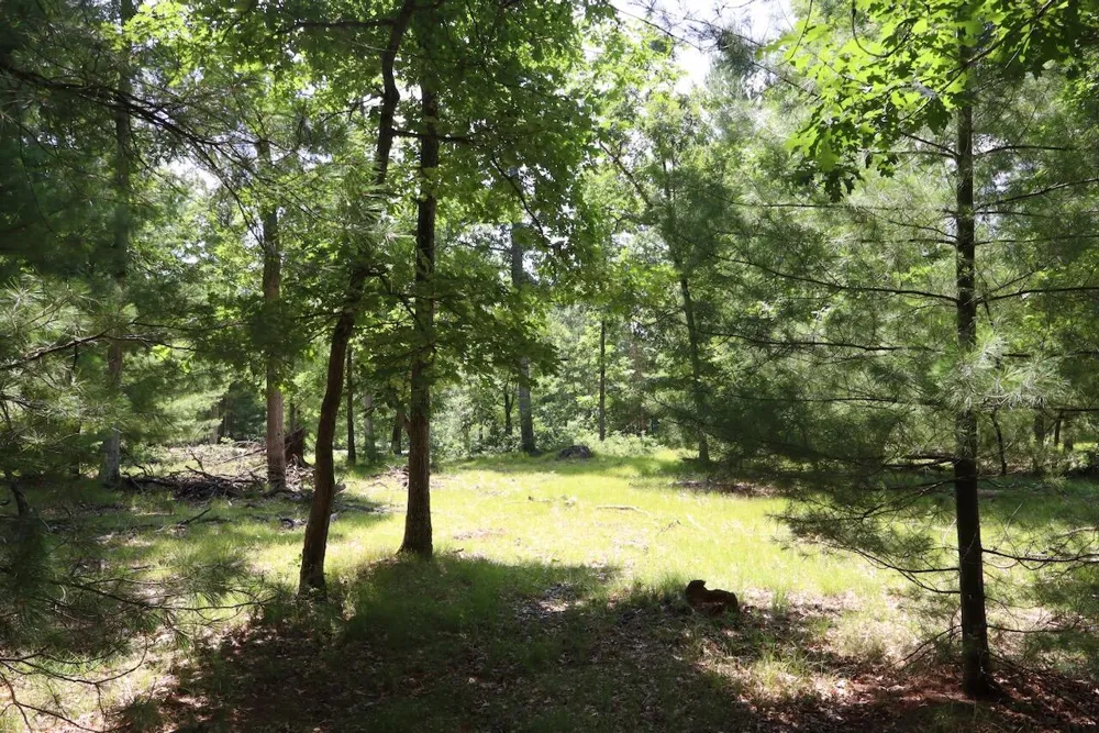 2 E Greenwood Road Prescott, MI 48756