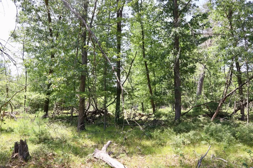 2 E Greenwood Road Prescott, MI 48756