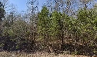 6210 Texas Trail