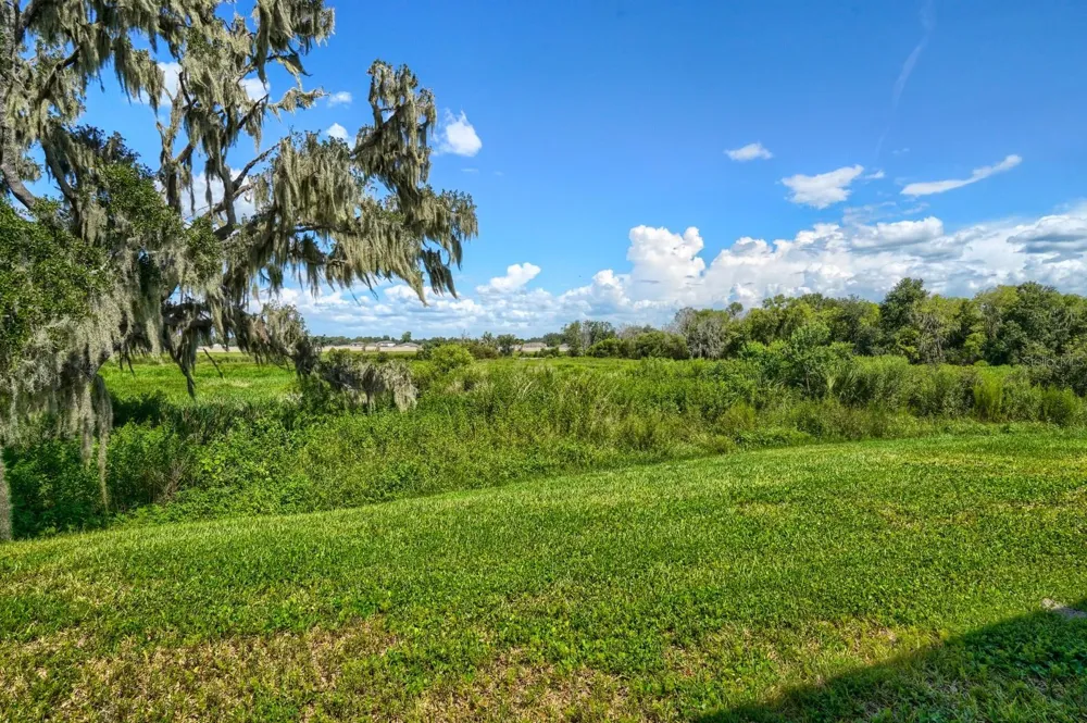 2332 CITRUS BLOOM DRIVE Bartow, FL 33830