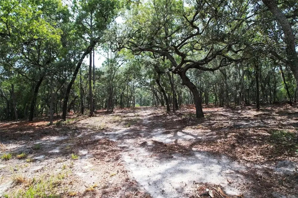 4546 S EVERGREEN AVENUE Homosassa, FL 34446