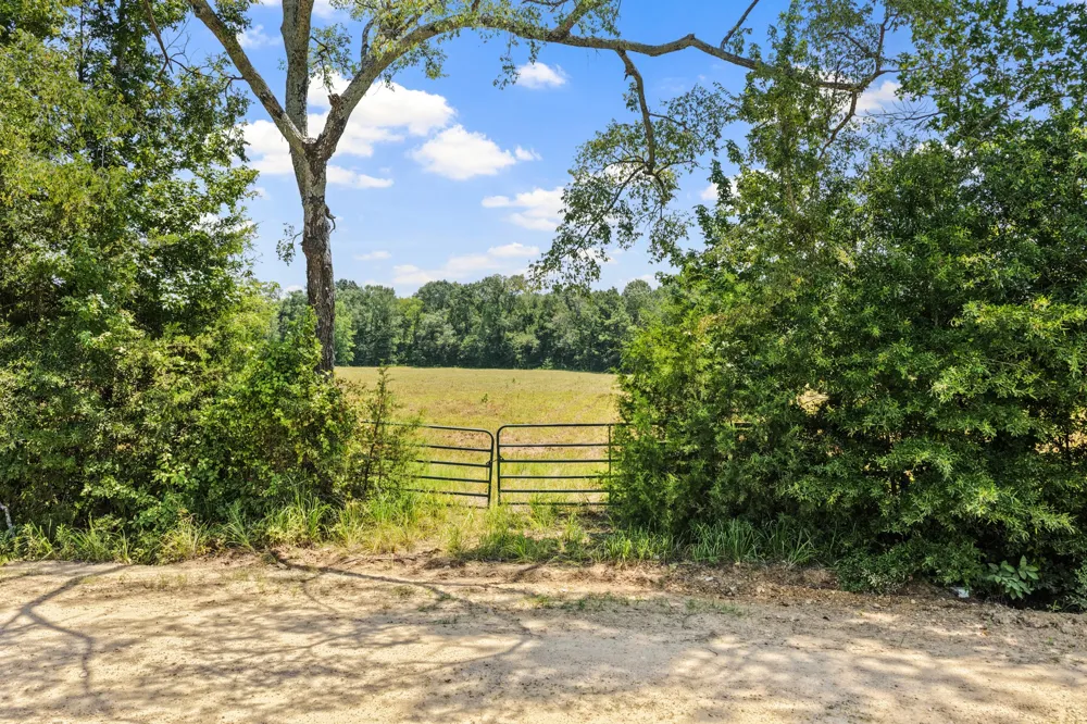 CR 4309 De Kalb, TX 75559