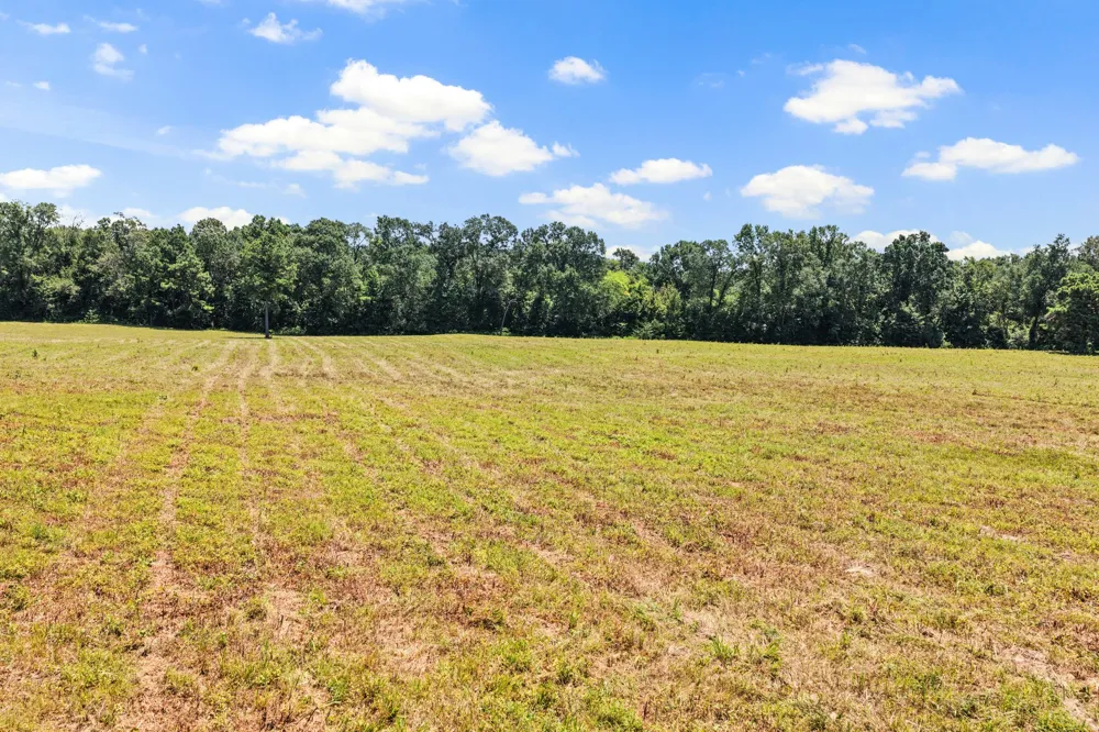 CR 4309 De Kalb, TX 75559