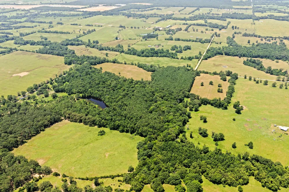 CR 4309 De Kalb, TX 75559