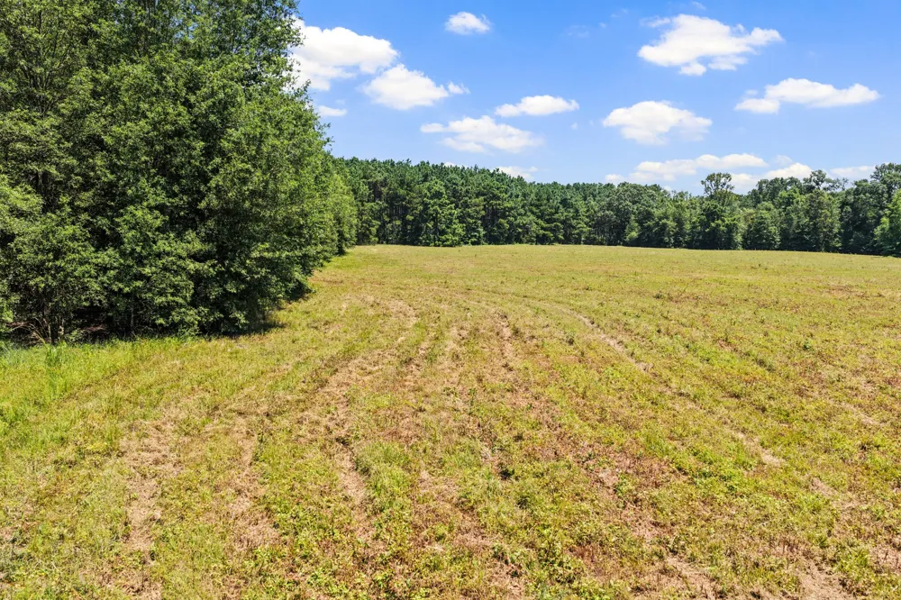 CR 4309 De Kalb, TX 75559