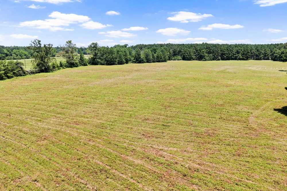 CR 4309 De Kalb, TX 75559