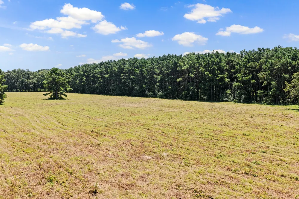 CR 4309 De Kalb, TX 75559