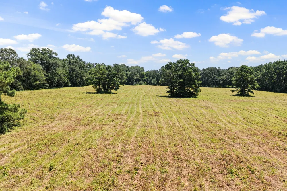 CR 4309 De Kalb, TX 75559