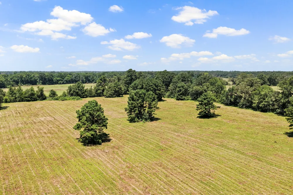 CR 4309 De Kalb, TX 75559