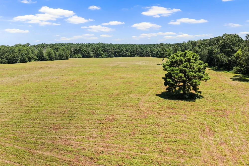 CR 4309 De Kalb, TX 75559