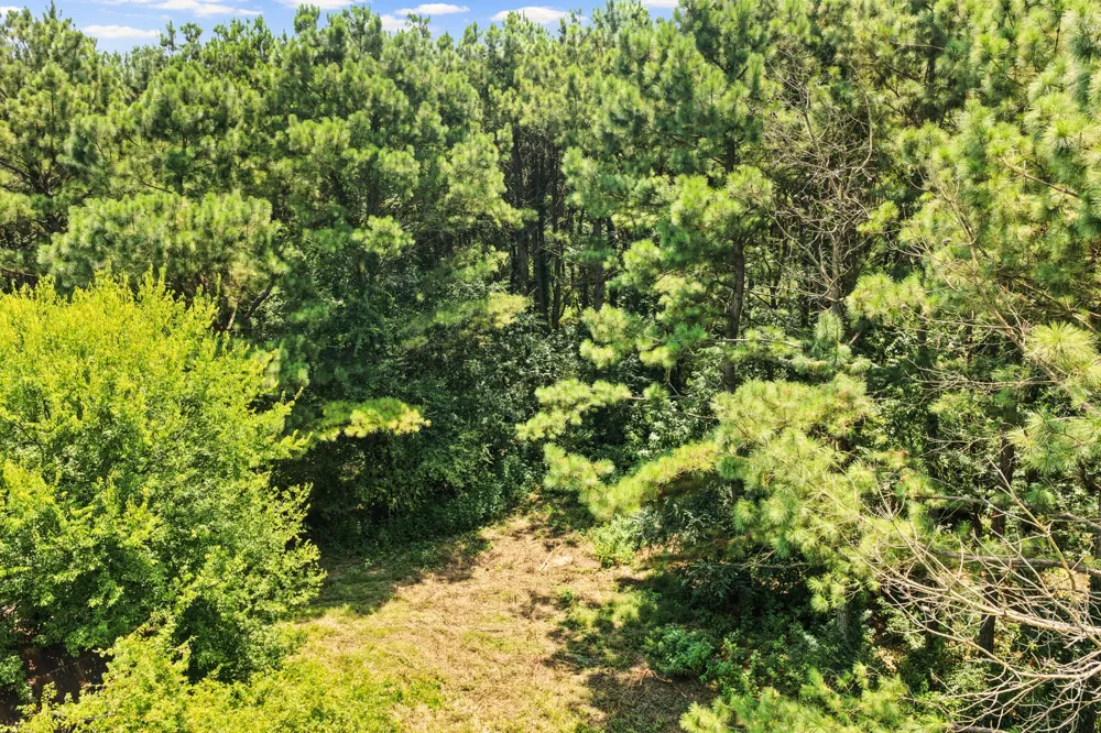 CR 4309 De Kalb, TX 75559