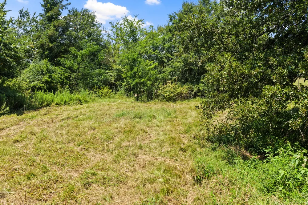 CR 4309 De Kalb, TX 75559