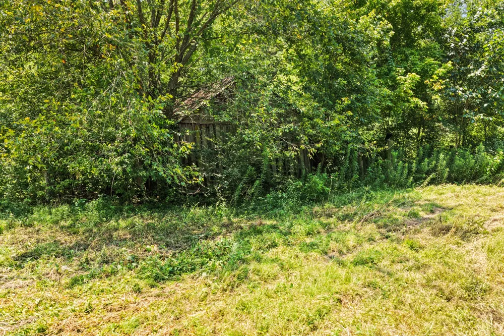 CR 4309 De Kalb, TX 75559