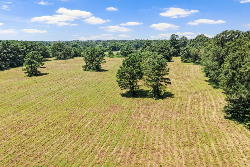 CR 4309 De Kalb, TX 75559