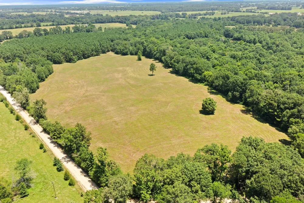 CR 4309 De Kalb, TX 75559