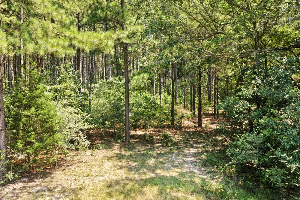 CR 4309 De Kalb, TX 75559