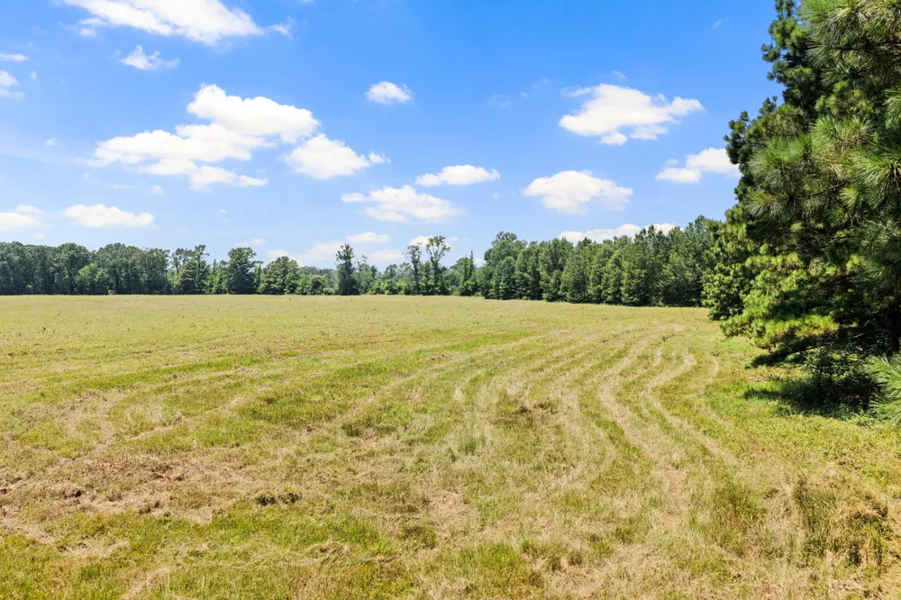 CR 4309 De Kalb, TX 75559