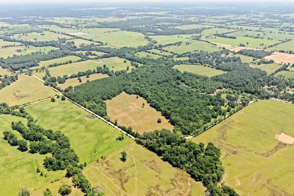 CR 4309 De Kalb, TX 75559