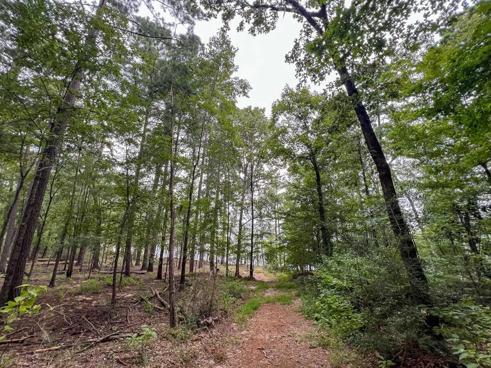 14 Arledge Trail/Off Gateway Meadows Mason, TX 75948