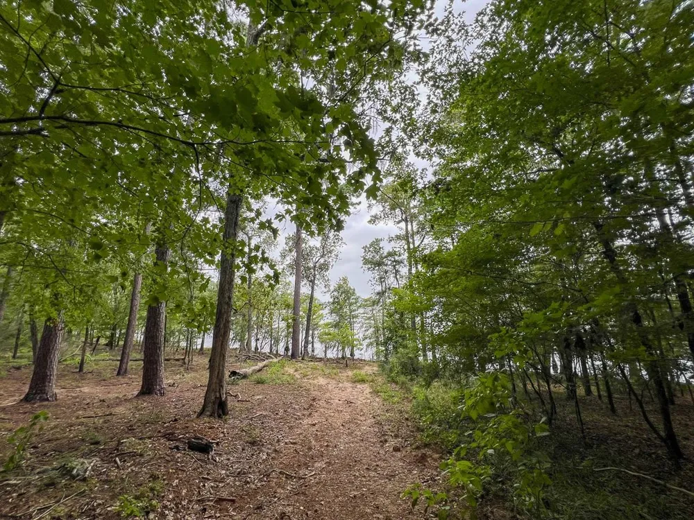 14 Arledge Trail/Off Gateway Meadows Mason, TX 75948