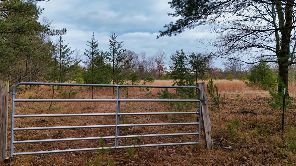 3728 Custer Road Manistee, MI 49660