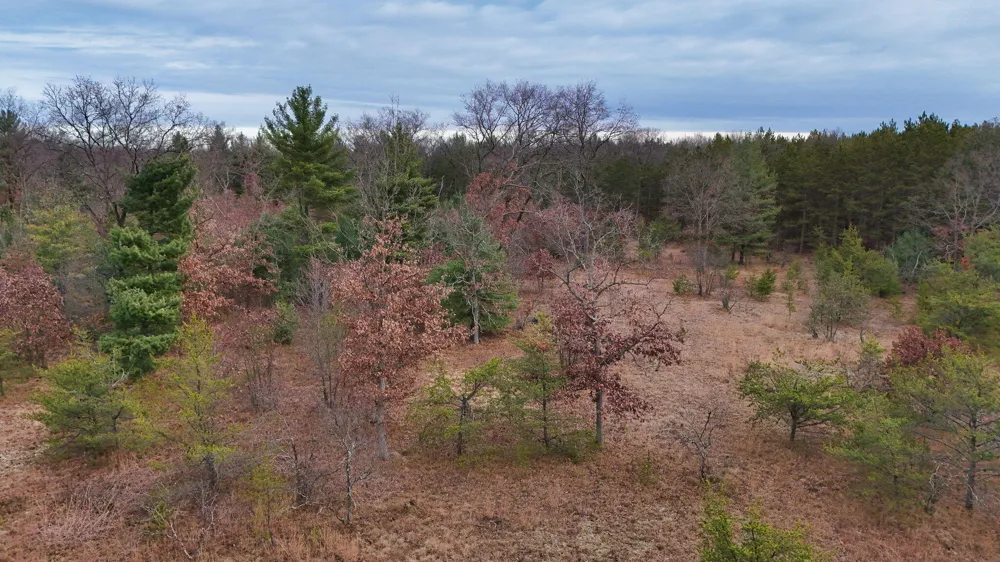 3728 Custer Road Manistee, MI 49660