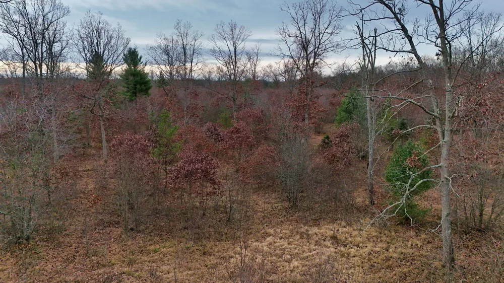 3728 Custer Road Manistee, MI 49660